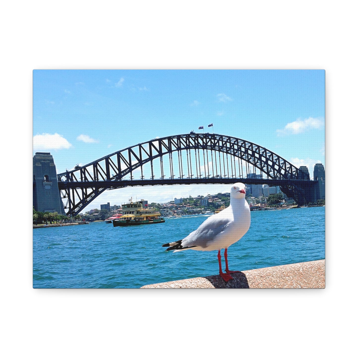 Sydney Harbour Bridge Canvas Print - Seagull Art Decor