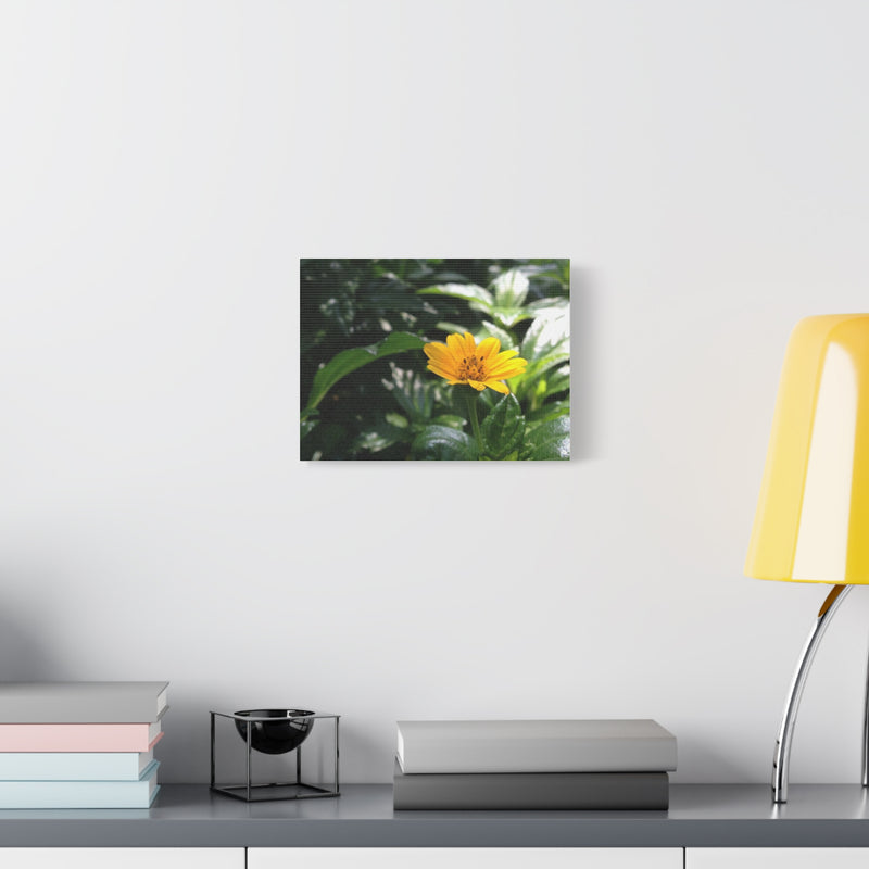 Floral Canvas Wall Art - Bright Yellow Flower Decoration