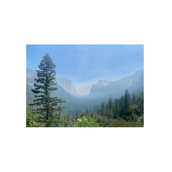 Scenic Nature Wall Art - Aluminum Composite Panel
