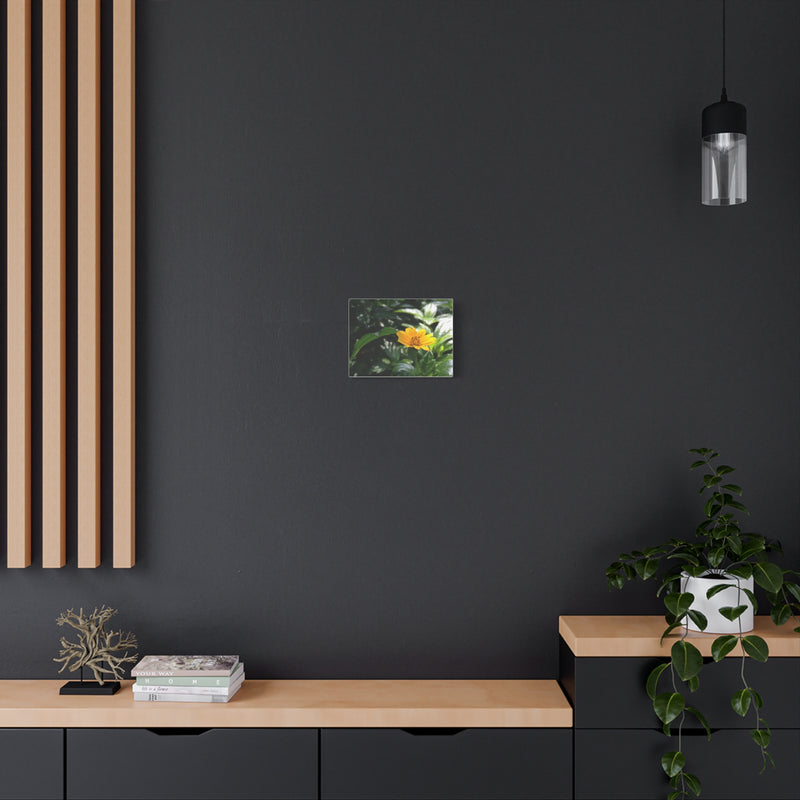 Floral Canvas Wall Art - Bright Yellow Flower Decoration