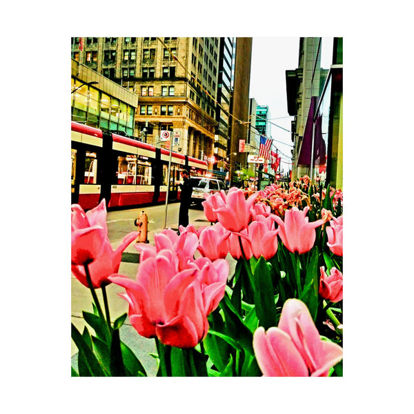 Spring Tulip Matte Vertical Poster - Floral Wall Art for Home Decor
