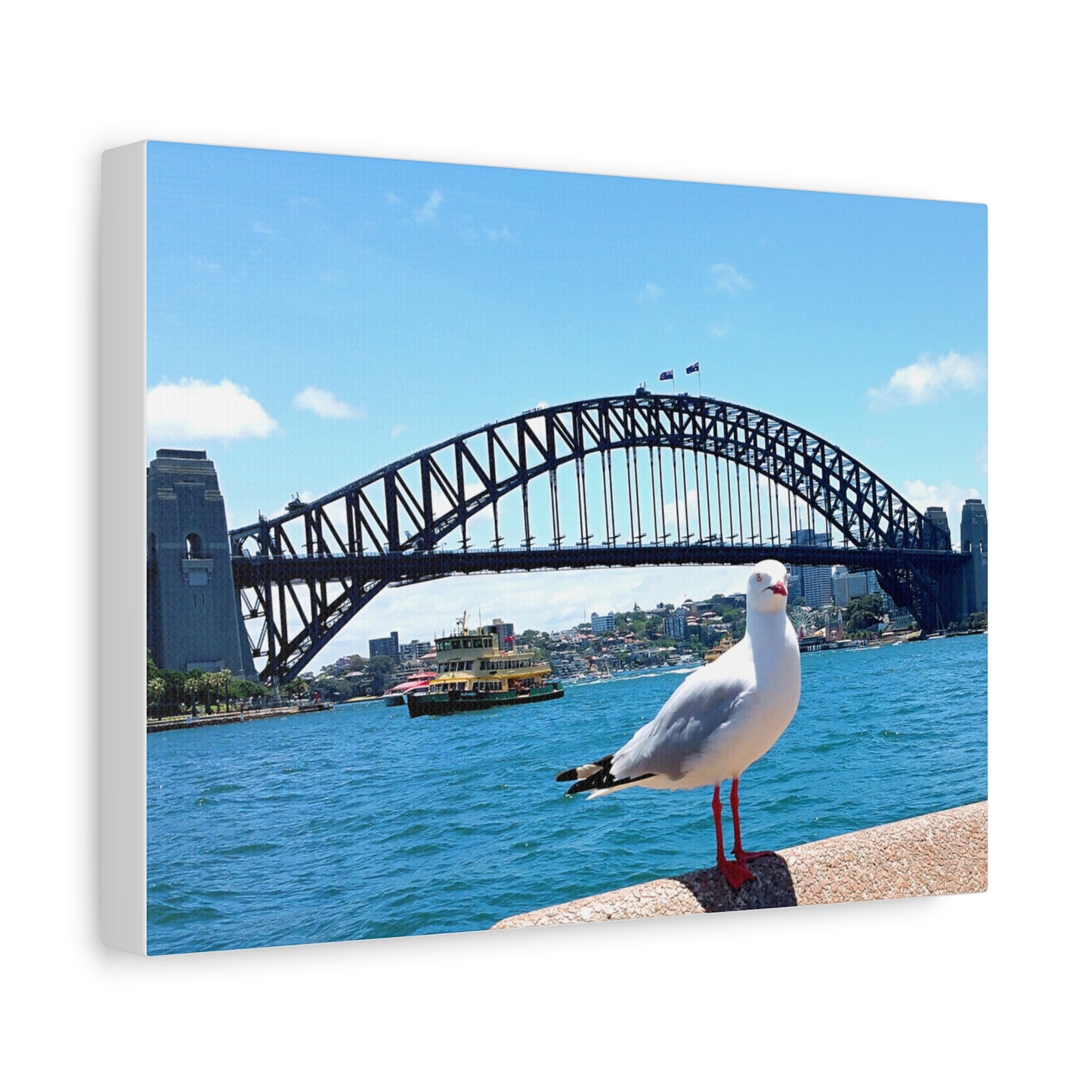 Sydney Harbour Bridge Canvas Print - Seagull Art Decor