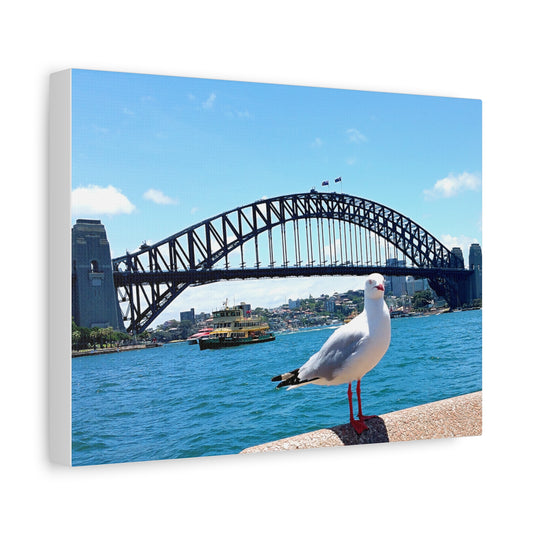 Sydney Harbour Bridge Canvas Print - Seagull Art Decor