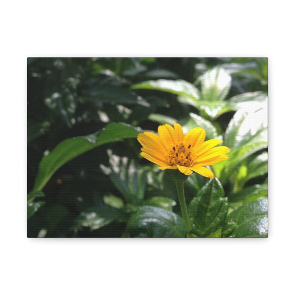 Floral Canvas Wall Art - Bright Yellow Flower Decoration