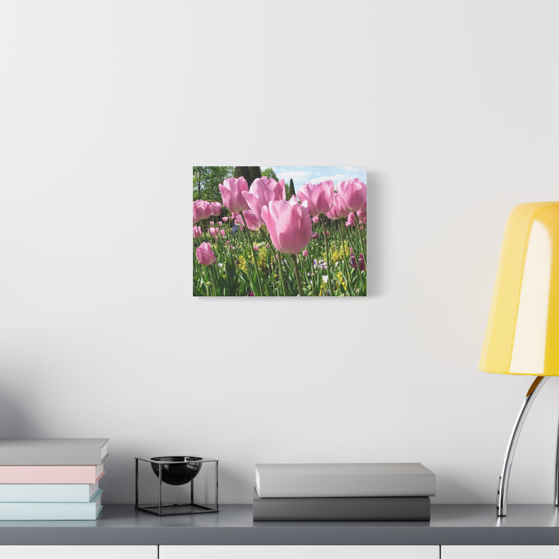 Pink Tulip Canvas Art Print - Vibrant Floral Wall Decor