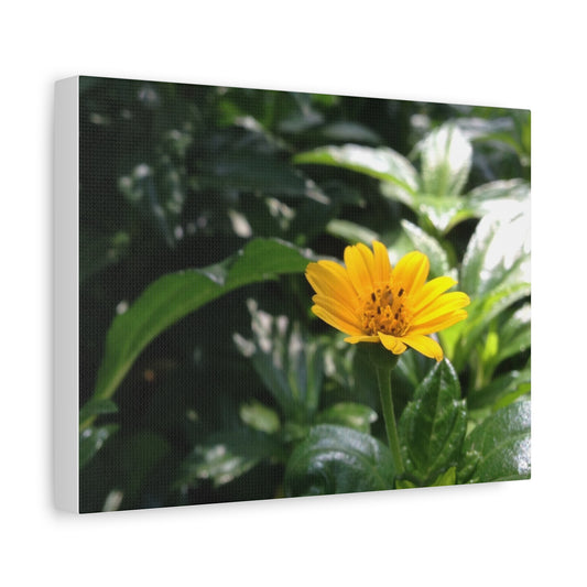 Floral Canvas Wall Art - Bright Yellow Flower Decoration